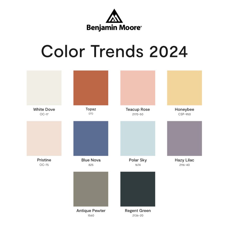 2024 Trends Color